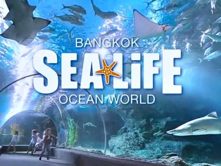 SEA LIFE BANGKOK OCEAN WORLD