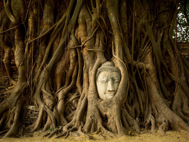 Ayutthaya Historical Temples