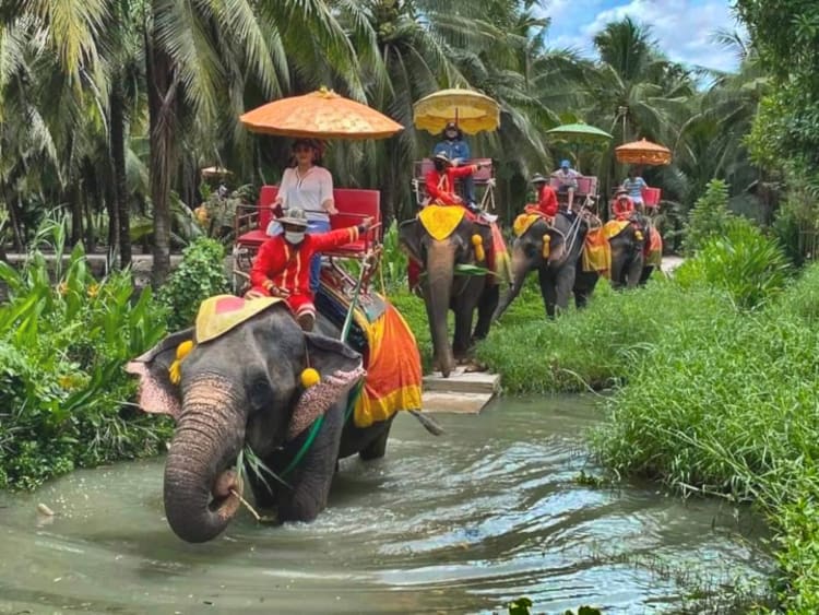 Elephant ride in Bangkok day tour: a line of elephants carrying visitors in colourful umbrella howdahs wades through a shallow stream at Damnoen Saduak Elephant Village, Thailand