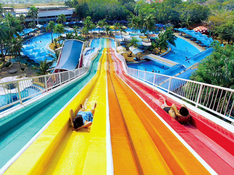 SIAM AMAZING PARK