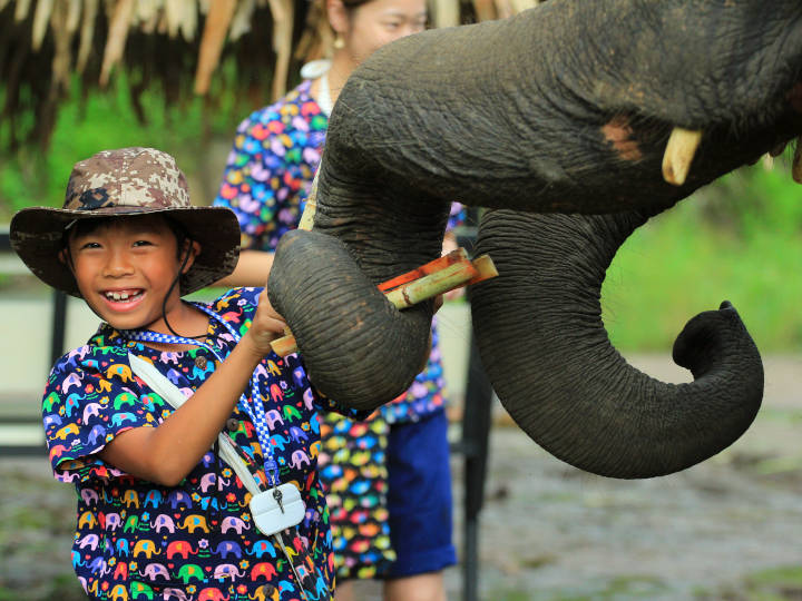 Kanta Elephant Sanctuary